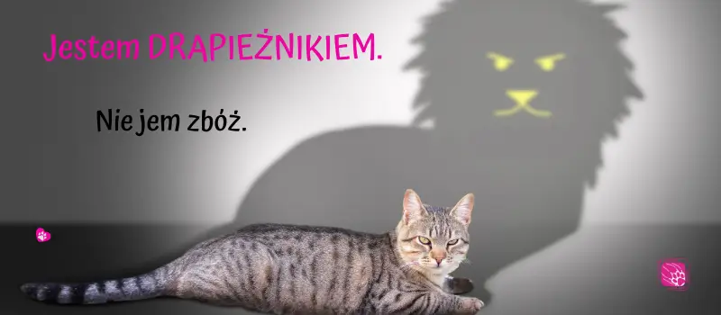 Baner kot - jestem drapieżnikiem