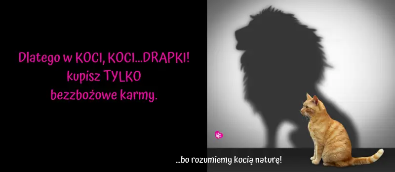 Baner 2 - kot jestem drapieżnikiem